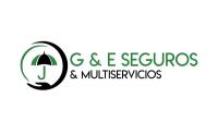G & E SEGUROS AND TAG & TITLE image 1